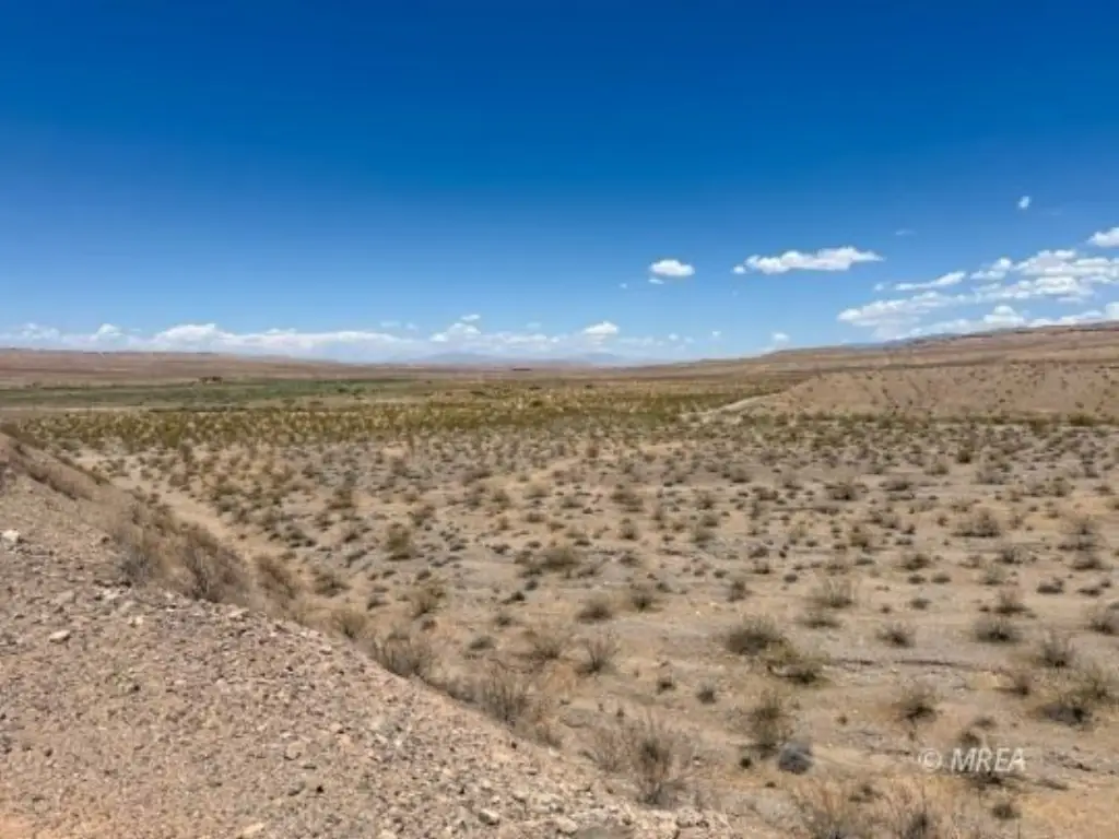 Picture 41