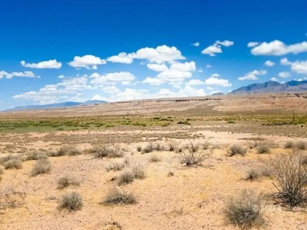 Picture 60