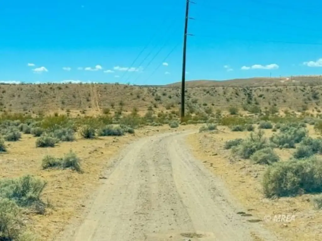 Picture 61