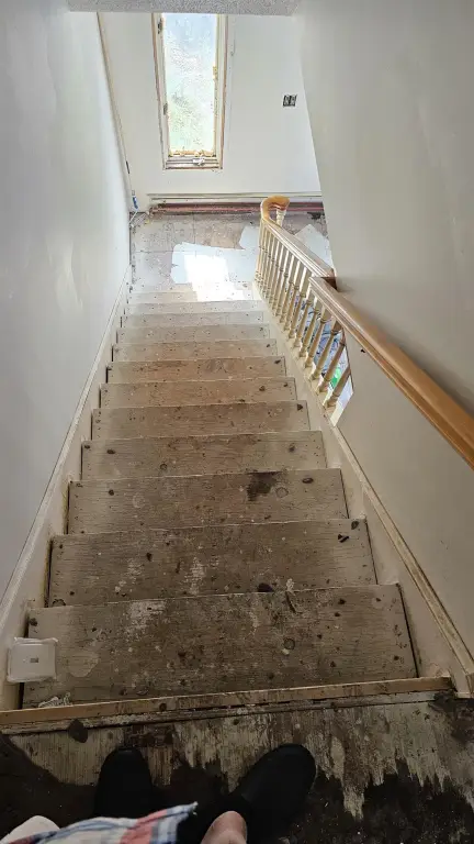Picture 14