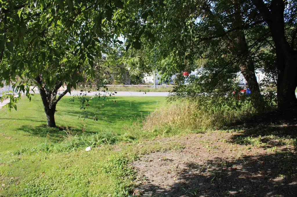 Picture 7