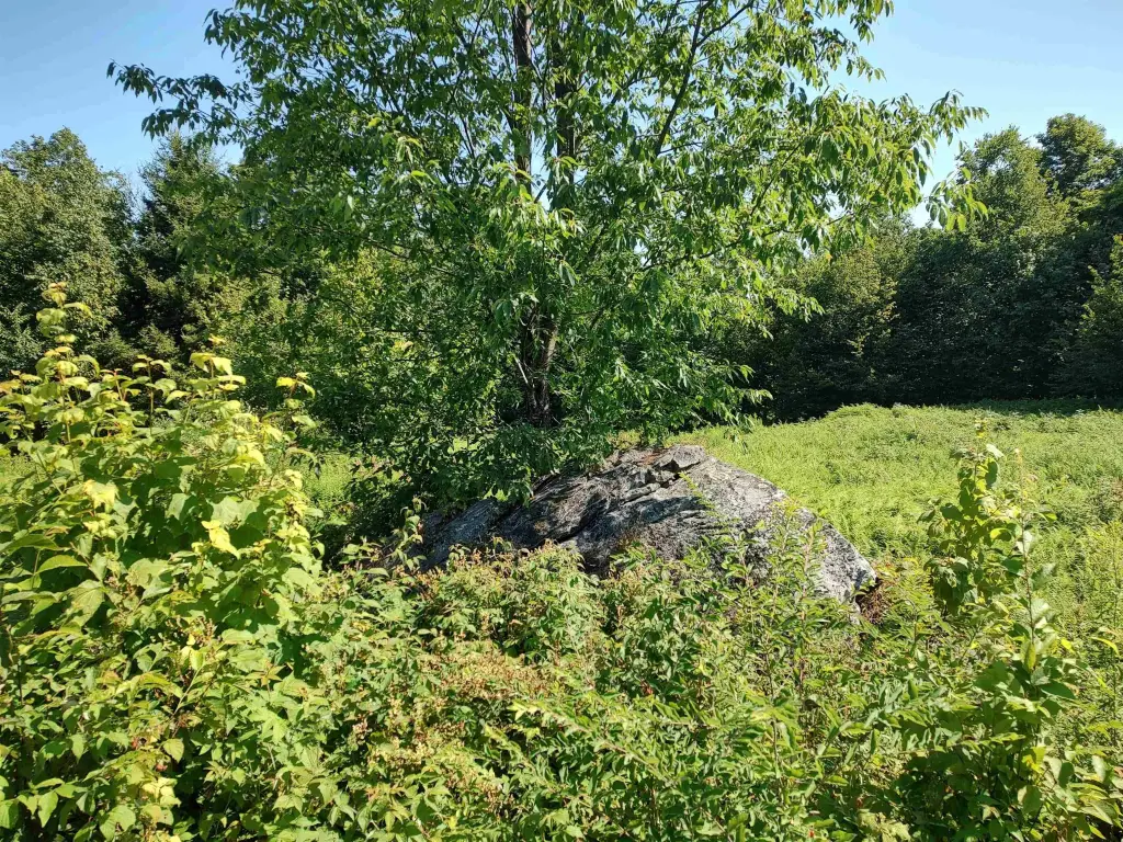 Picture 10