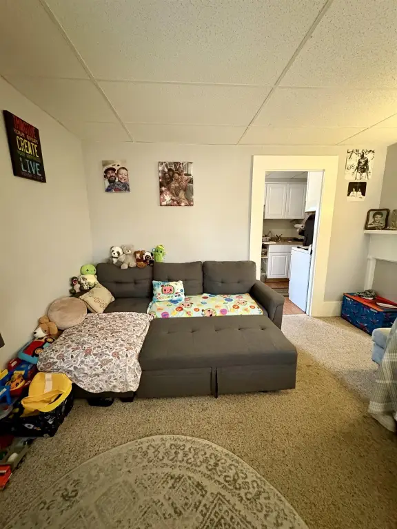 Picture 41