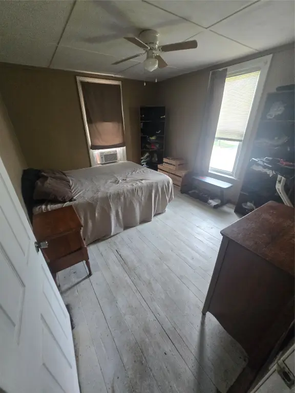 Picture 7