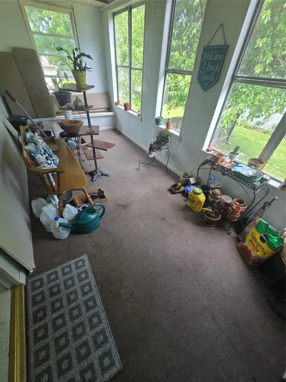Picture 12
