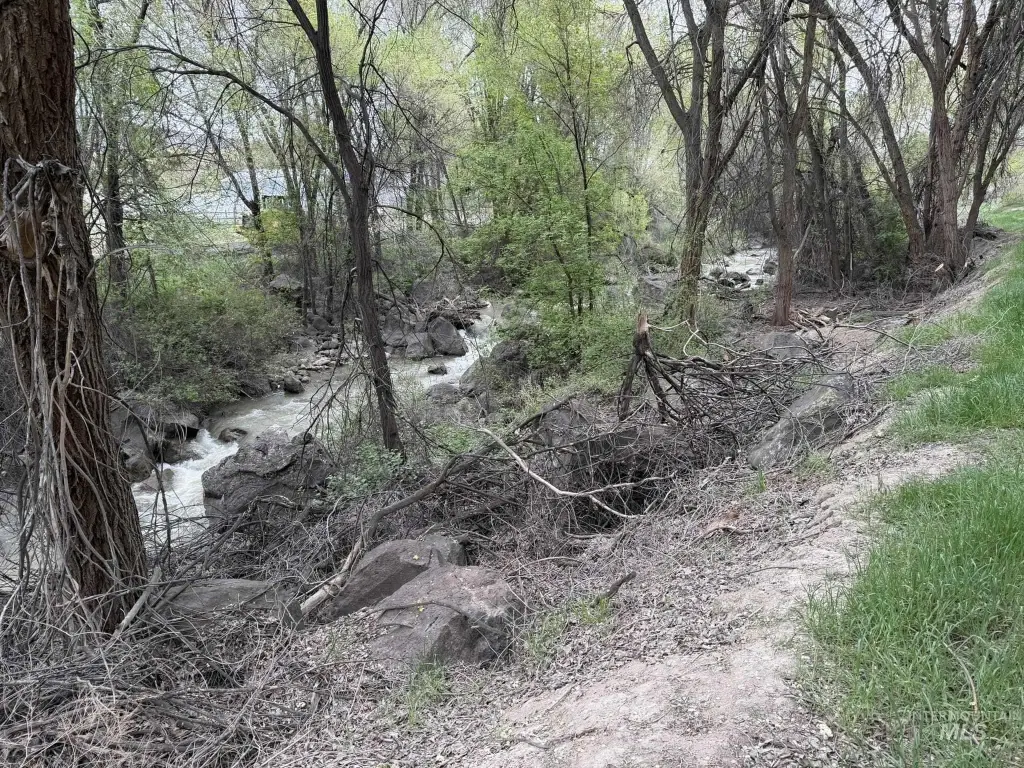 Picture 18