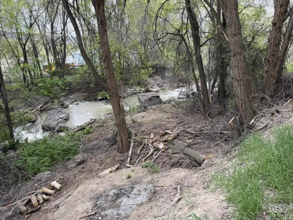 Picture 16