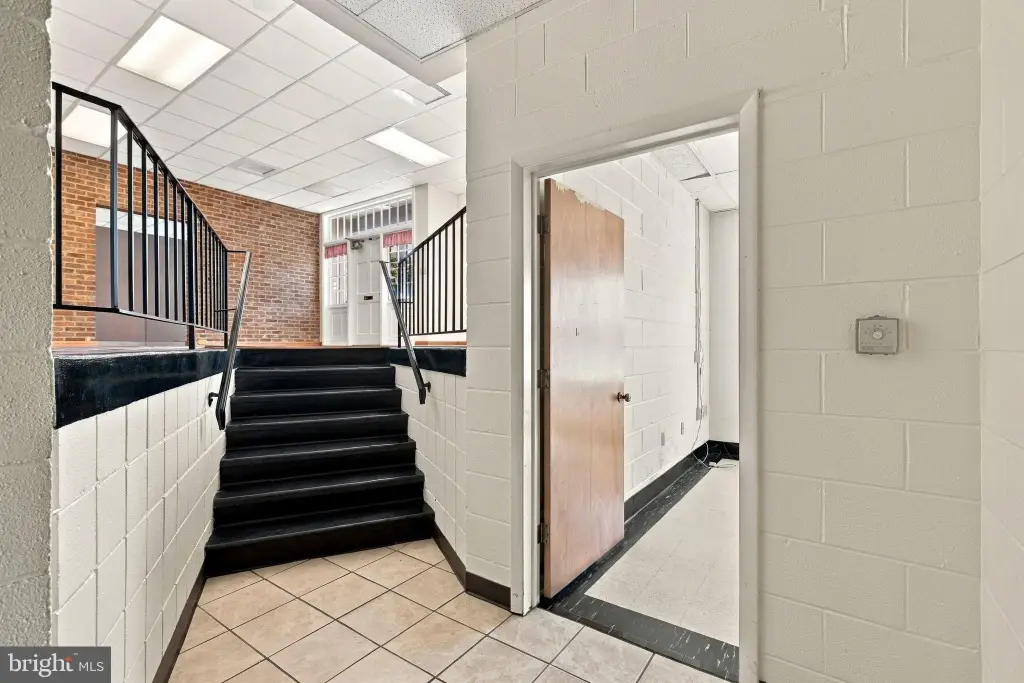 Picture 15