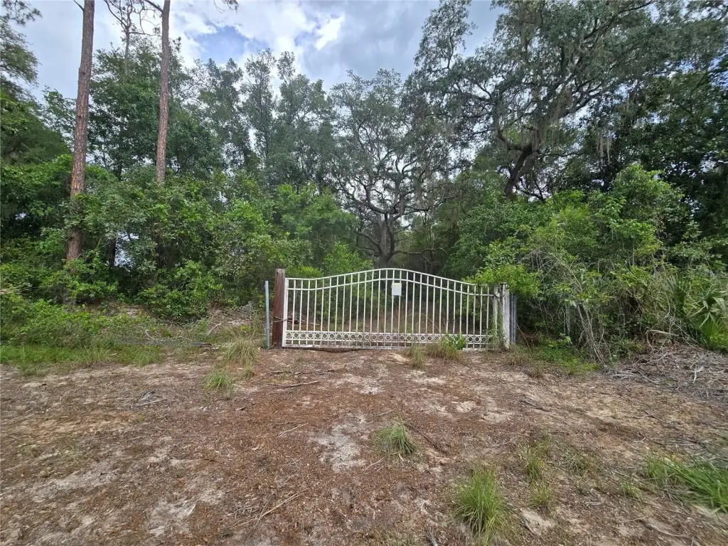 Picture 3