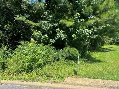 Residential Land in Fosters, AL