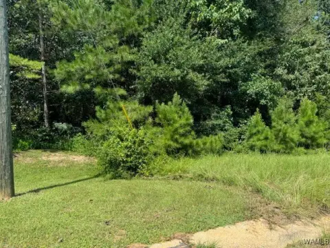 Residential Land in Fosters, AL