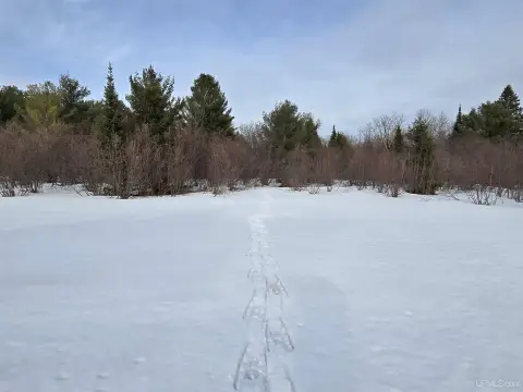Greenland Vacant Land Near Trout Streams