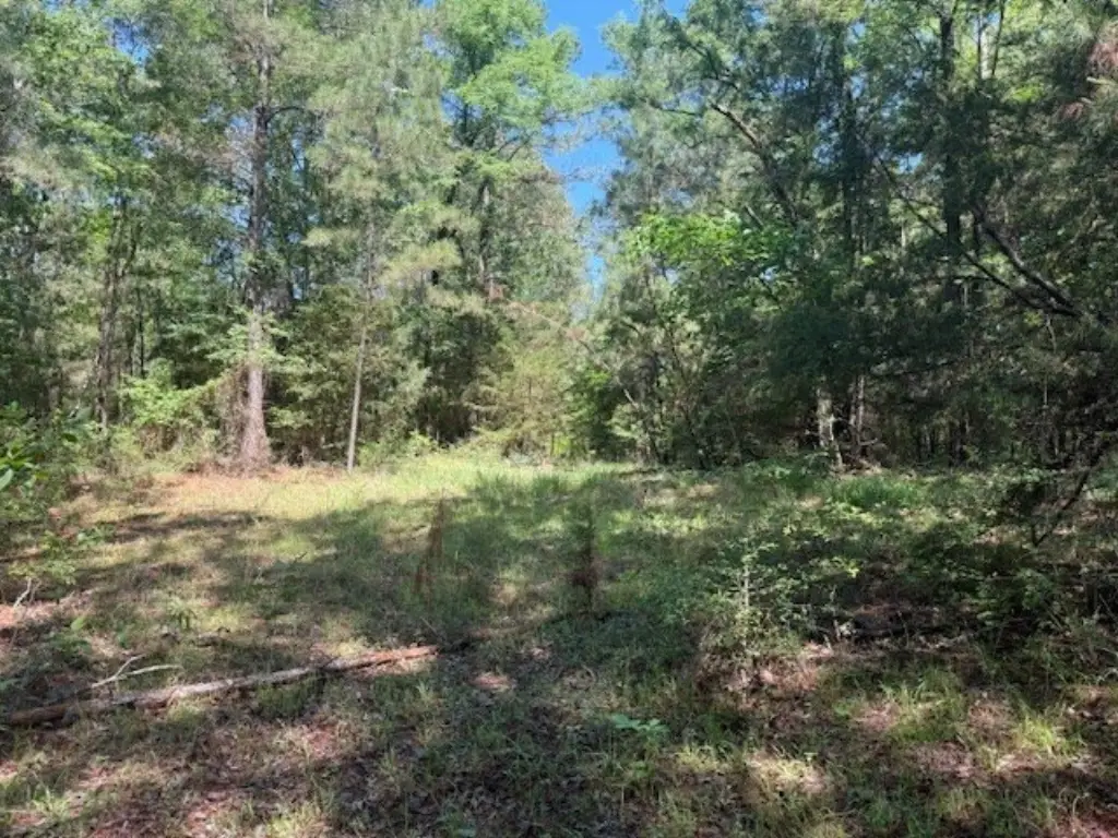 Picture 19
