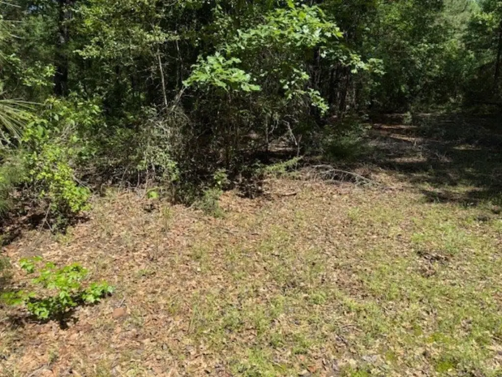 Picture 23