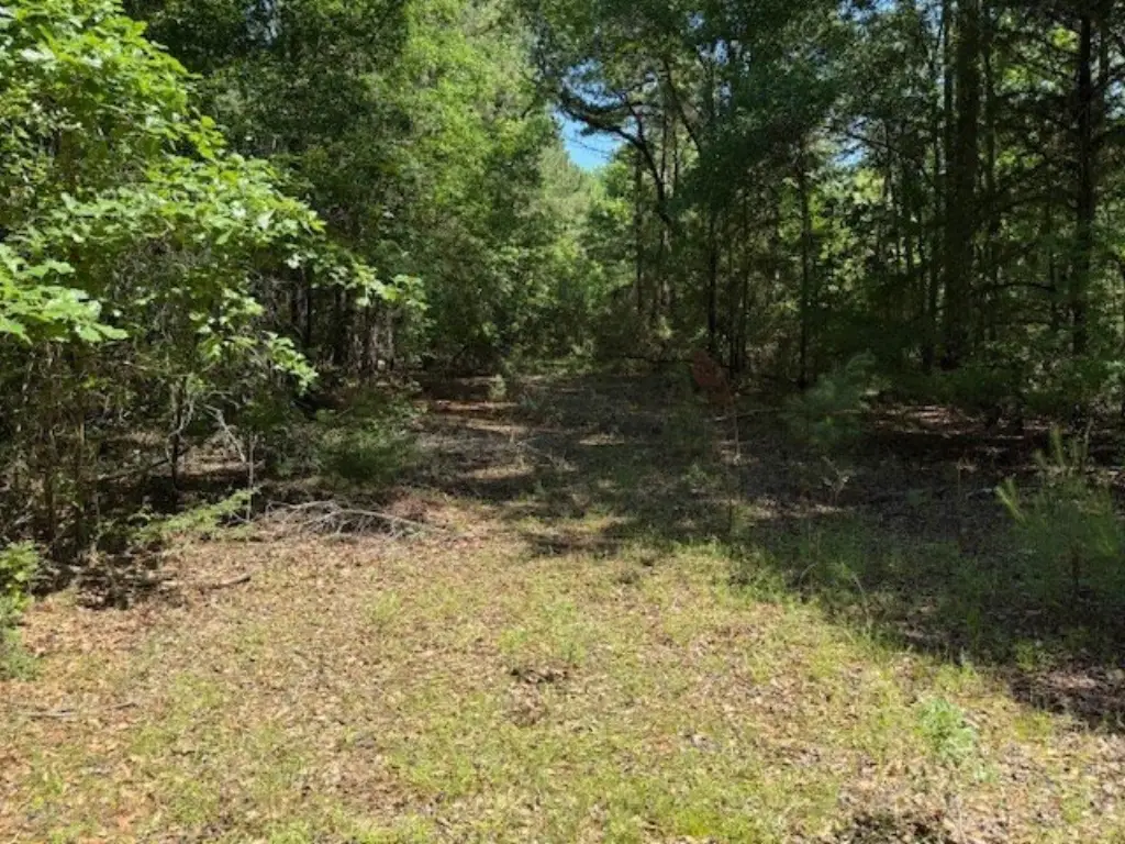 Picture 22