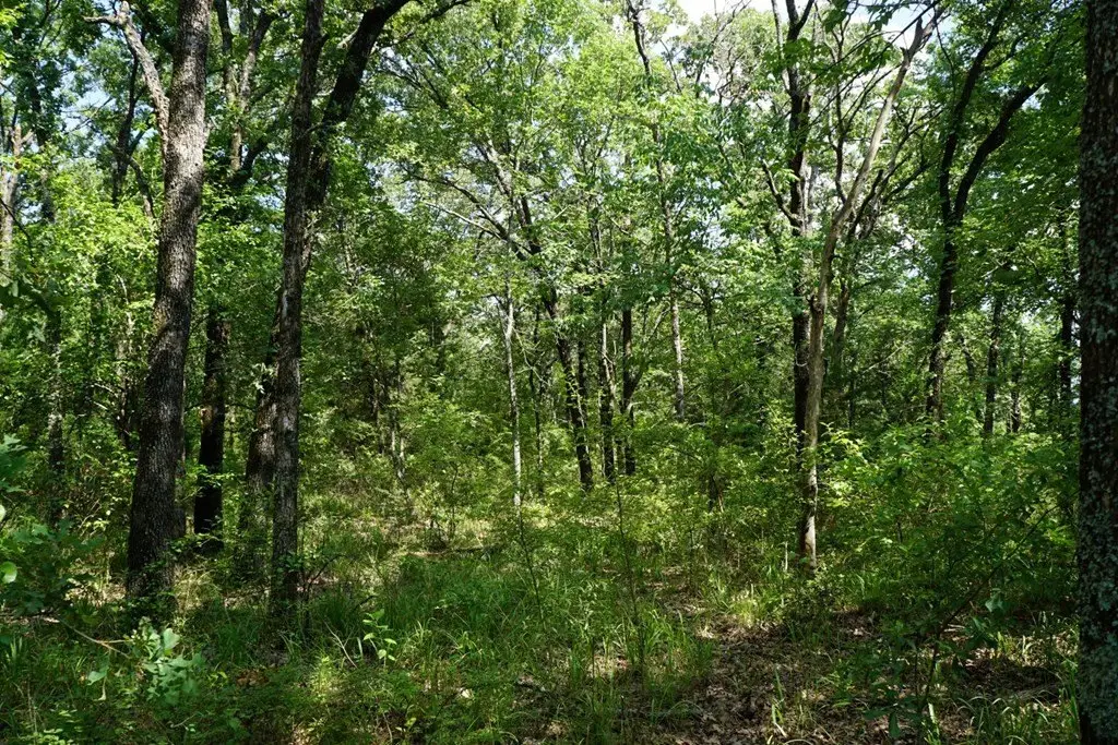 Picture 19