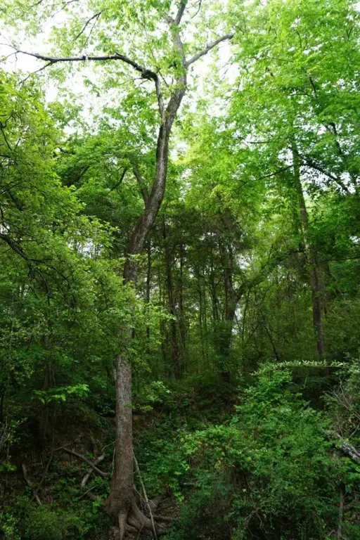 Picture 11
