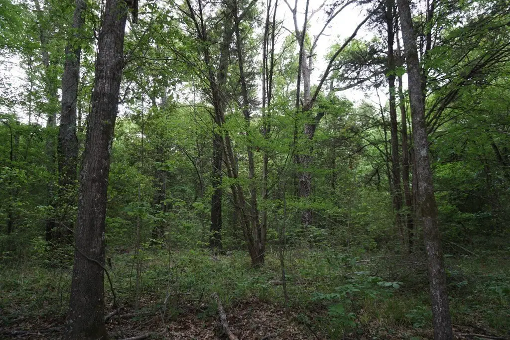 Picture 25