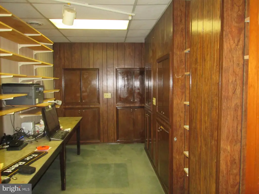 Picture 11