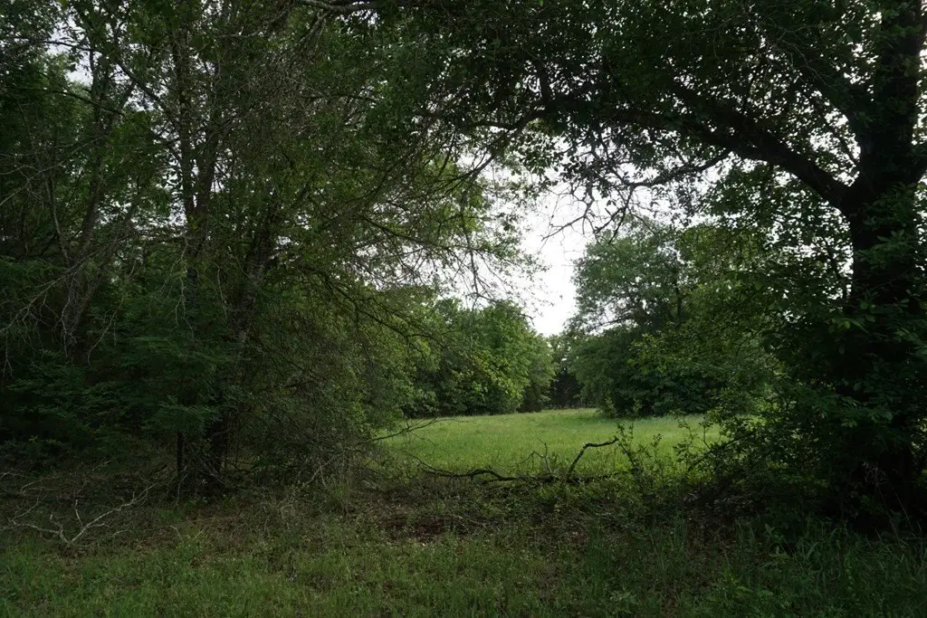 Picture 18