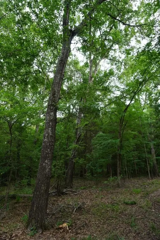 Picture 23