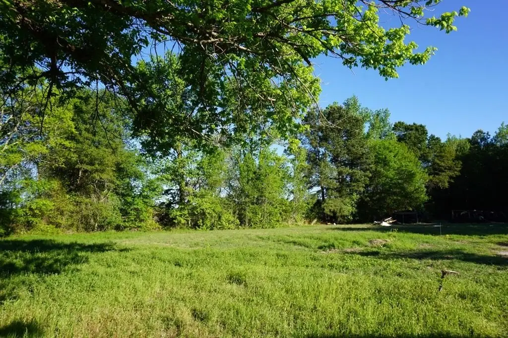 Picture 11