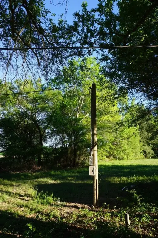 Picture 21