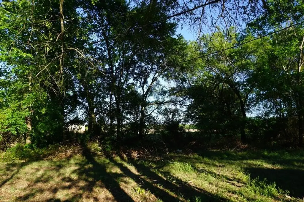 Picture 22
