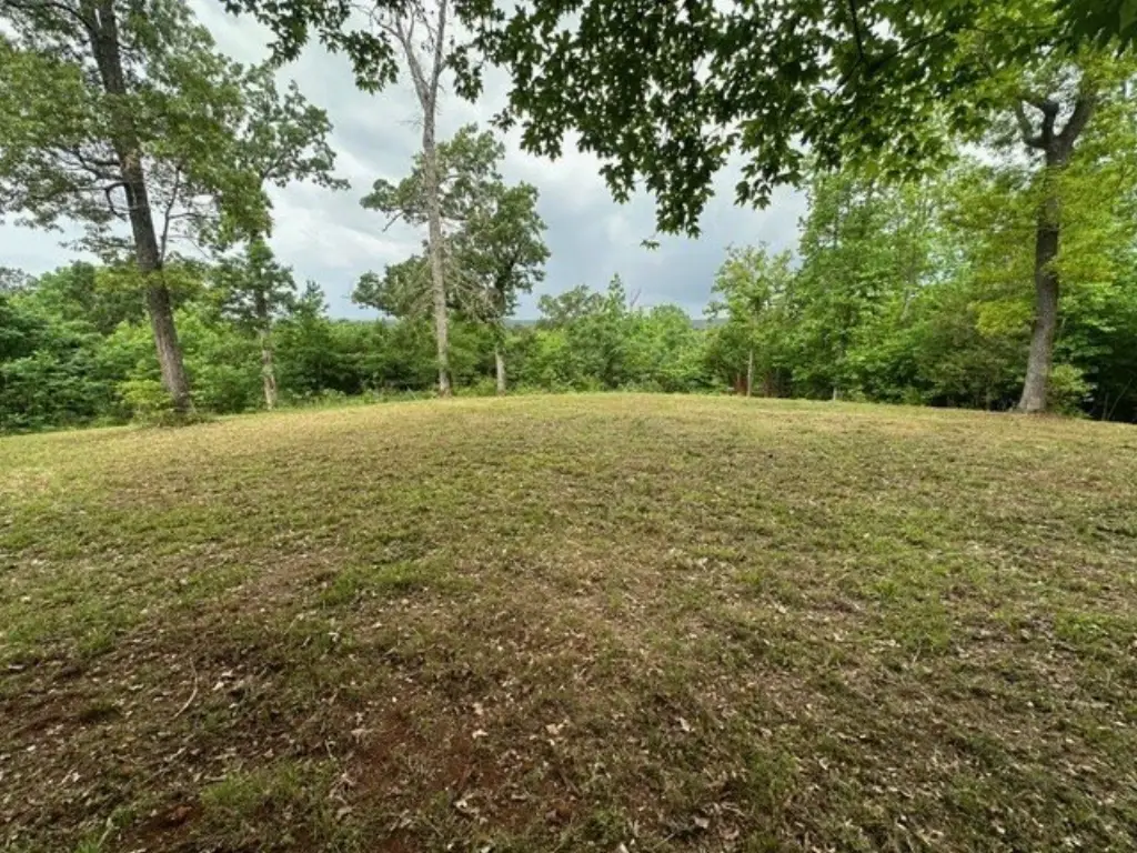 Picture 3