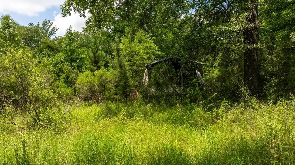 Picture 5