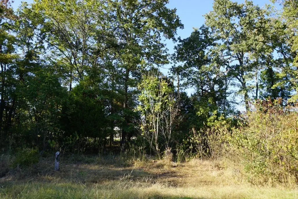 Picture 10