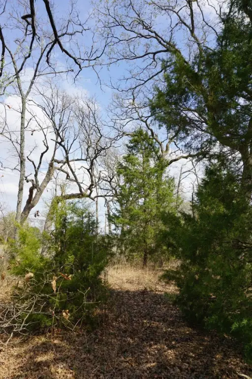 Picture 11
