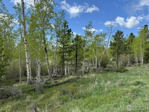 Red Feather Lakes Land Opportunity