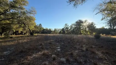 Williston Land with Acreage