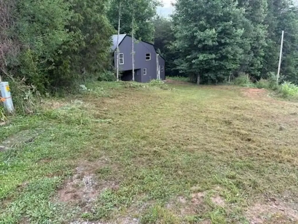 Picture 19