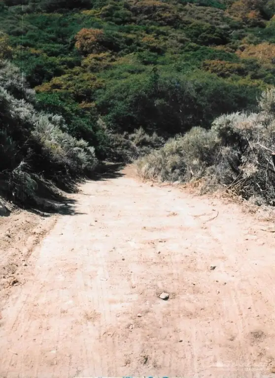 Picture 2