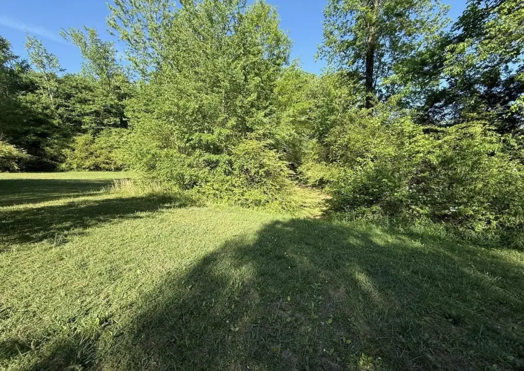 Picture 5