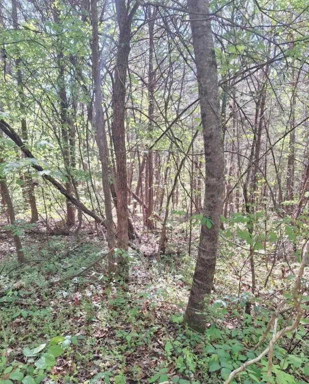 Picture 16