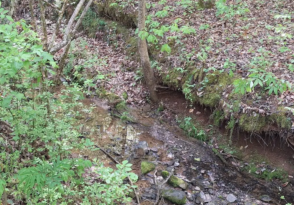 Picture 15