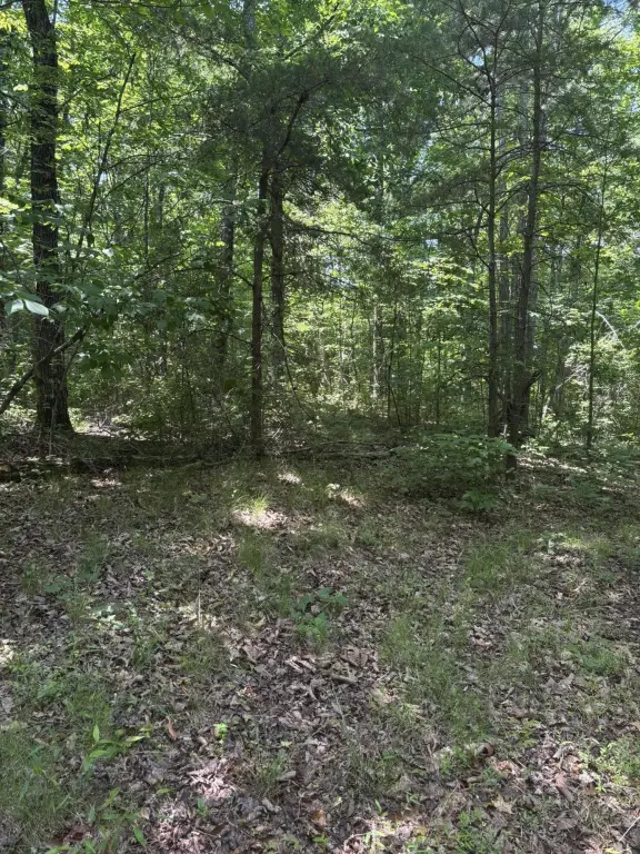 Picture 8