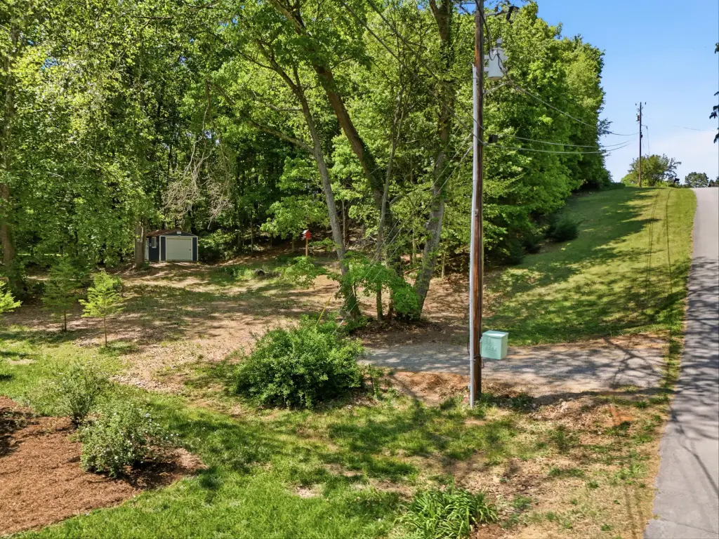 Picture 18
