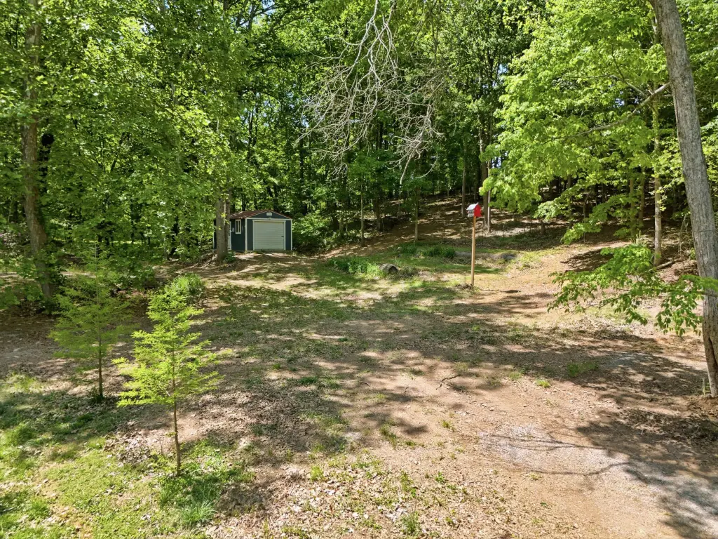 Picture 19