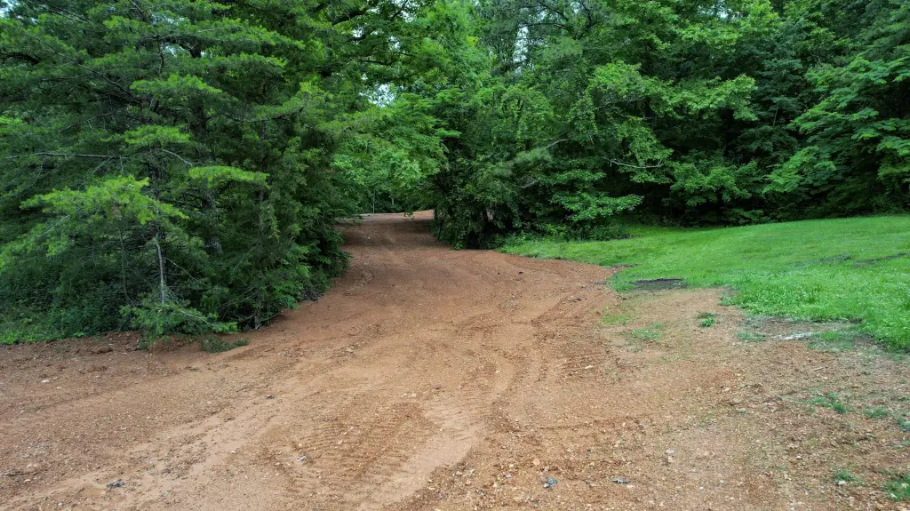 Picture 38
