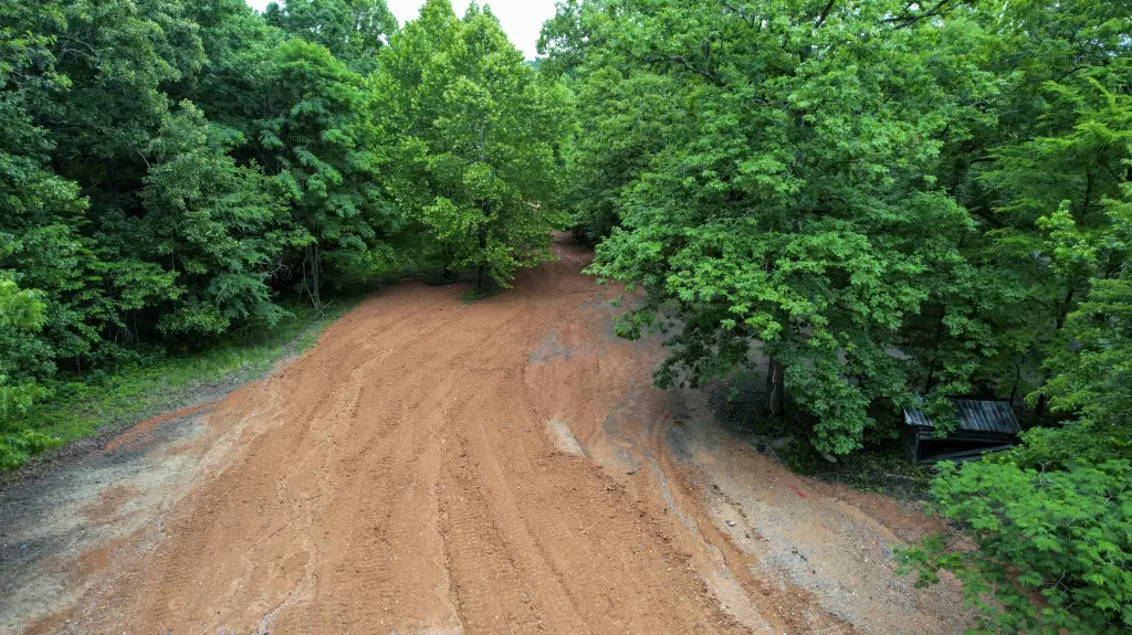 Picture 60