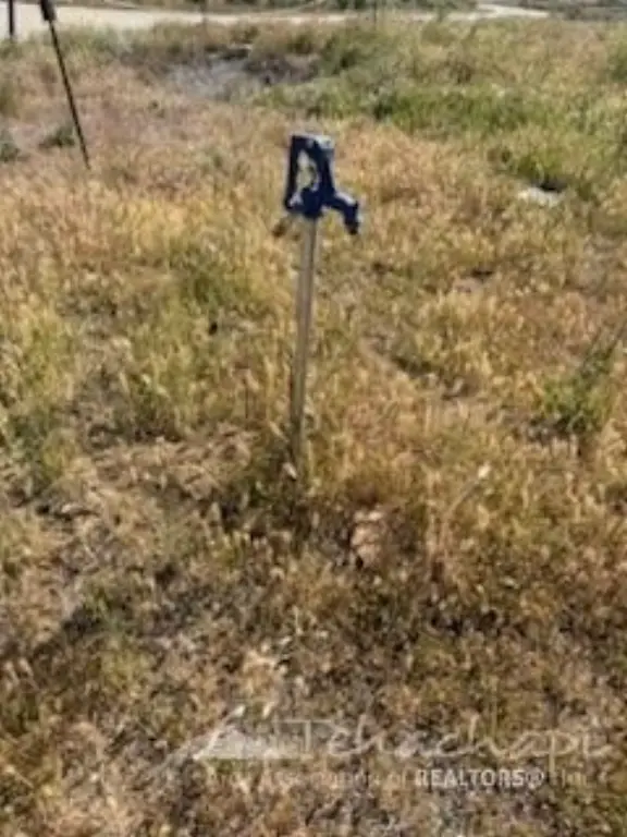 Picture 3