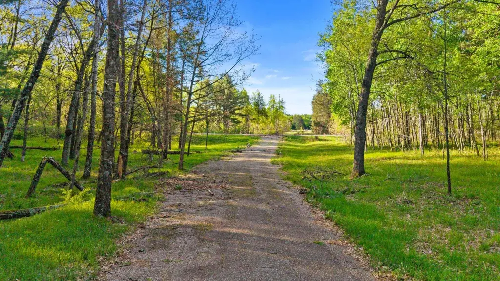 Picture 22