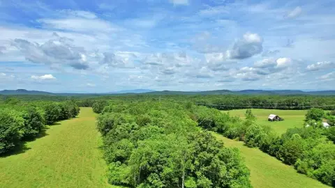 80 Acres of Versatile Land