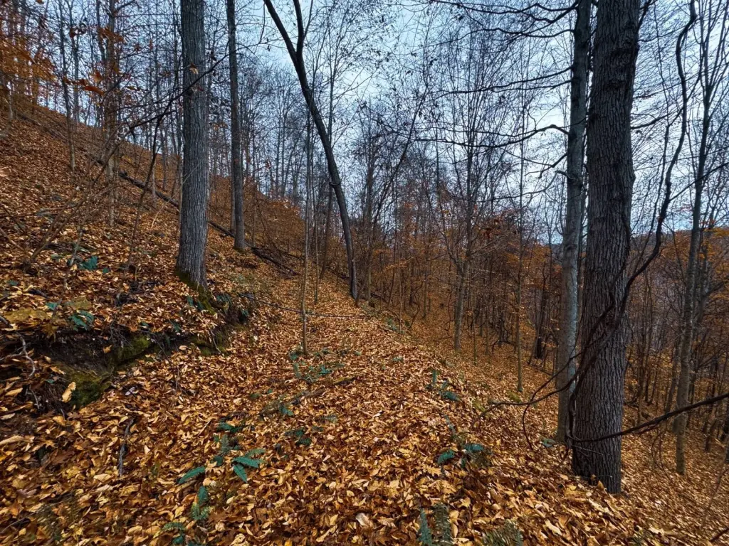 Picture 42