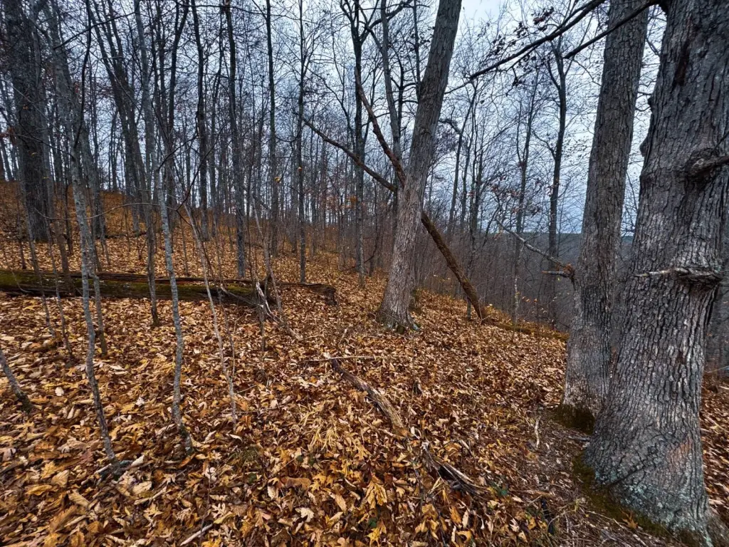 Picture 6