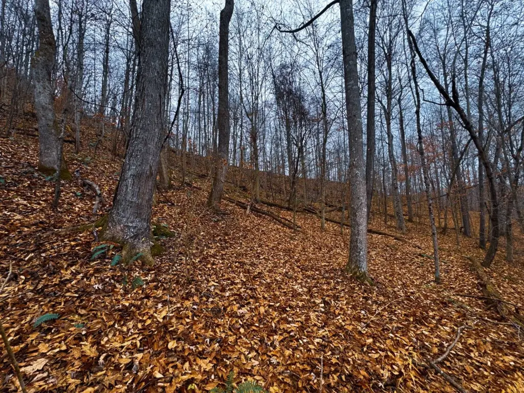 Picture 30